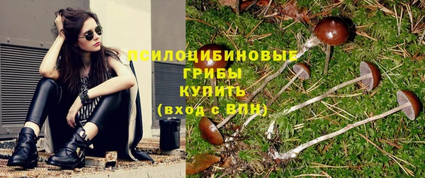 таблы Алексин