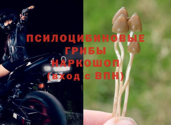таблы Алексин