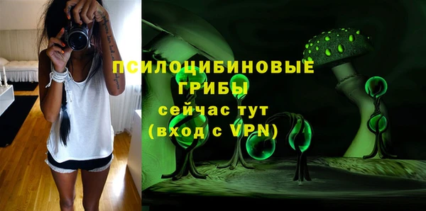 ПСИЛОЦИБИНОВЫЕ ГРИБЫ Нижневартовск